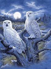 Diamond Painting Kits Full Round With AB Drill Animals Owl Embroidery Crystal Cross Stitch Kit Cartoon Rhinestone Pictures Decor 2024 - buy cheap