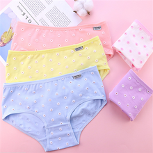 New Arrived 4Pcs/Lot Girl Panties Underwear Lace Briefs Cotton Lingerie Soft Comfortable Bowknot Cartoon Panty Wholesale T9184 2024 - buy cheap