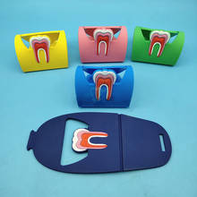 1pcs Dental Card Holder Colorful Rubber Teeth Molar Shape Dentist Gift Phone Card Name Storage Dsiaply Stand For Clinic 2024 - buy cheap