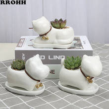 Mini Ceramic Flower Pot White Animals Dog Cat Green Succulent Planter Flowerpot Home Office Desktop Decor Bonsai 2024 - buy cheap