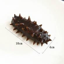 seafood prop Simulation Food Model Sea Cucumber Seafood Decoration Window Hotel Sample Decoration Decoration 2024 - buy cheap