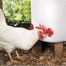Quente 500 pçs/lote horizontal side mounted aves waterer automática bocais bebedor para frango codorna 2024 - compre barato