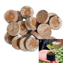 30mm 10pcs Jiffy Peat Pellets Seed Starting Plugs Seeds Starter Pallet Seedling Soil Block Professional Easy To Use 2024 - buy cheap