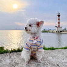 Весенняя хлопковая рубашка-жилет для щенков, кошек, собак, милая одежда для маленьких собак, Йорков, чихуахуа, одежда для собак 2024 - купить недорого