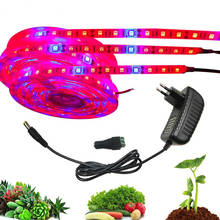 Plant Grow lights 5m Waterproof Full Spectrum LED Strip Flower phyto lamp Red blue 4:1 for Greenhouse Hydroponic+Power adapter 2024 - buy cheap