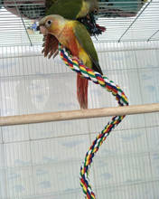 Новый канат для попугаев висит плетеная волнистый Попугайчик жевания веревка клетка для птиц попугая игрушка для домашних животных стенд учебные принадлежности Поставки L3 2024 - купить недорого
