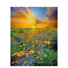 PhotoCustom Acrylic Paint By Numbers Kits DIY 60x75cm Scenery Oil Painting By Numbers For Adult On Canvas Flowers Frame Unique G 2024 - buy cheap