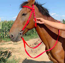 Equipo de equitación Halter de nailon, accesorios ecuestres de carreras para caballos de 1,2 metros de altura, hombro Mahler, rizos 2024 - compra barato