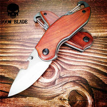 146mm 5CR15MOV Blade Knives Folding Knife Wood Handle Mushroom Picking Mini Pocket Knife Camping Hunting Survival Knives Tools 2024 - buy cheap