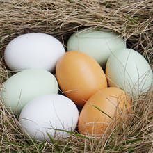 Ovos falsos de madeira de 7 peças, simulação de ovos de páscoa 2.3 polegadas, ovos sólidos, brinquedos educativos para decoração de festa 2024 - compre barato