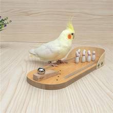 Papagaio pássaro brinquedo de madeira mini desktop boliche periquito inteligência jogo de treinamento 2024 - compre barato