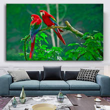 Modern Colorful Birds Animals Parrot Canvas Wall Art Paintings Decorative Posters Prints for Living Room Home Decoration 2024 - buy cheap