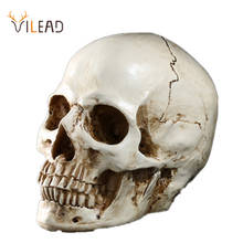 VILEAD-modelo médico de cabeza de cráneo de resina humana, decoración de escritorio, estatua de cráneo, artesanía, regalo, adorno de calavera de Animal 2024 - compra barato