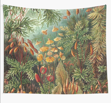 Vintage Plants Decorative Nature Painting Illustration Artwork Tapestry Wall Hanging Tapestries Dorm Home Carpet Bedroom Decor 2024 - buy cheap