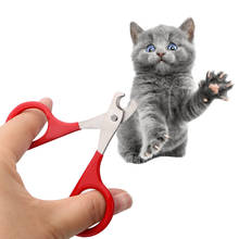 Pet Scissors For Nails Claw Clippers Pet Accessories Cat Dog Cleaning Tools Pet Claw Care Tools Grooming Scissors 2024 - buy cheap