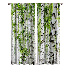 White Birch Window Curtains Scenic Curtains for Living Room Decorative Items Living Room 2024 - buy cheap