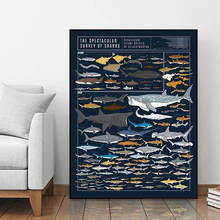 Настенная картина с изображением животных и акул на холсте, модульный современный постер в скандинавском стиле для гостиной 2024 - купить недорого