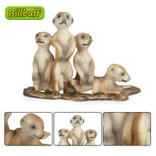 Figuras de acción de Meerkat Cub para niños, juguete educativo de simulación de animales salvajes de PVC, modelo de colección de cognición en miniatura, regalo 2024 - compra barato