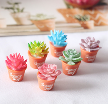 6 Pcs Cute Potted Plant Flowers Pot Doll House Decor Furniture Craft Dollhouse Miniature Fairy Garden Ornament 2024 - buy cheap