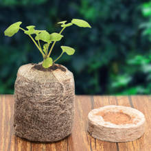 Newly 100Pcs Seed Starting Plugs Seedling Soil Block Seed Soil Plugs Starters 2024 - buy cheap