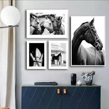 Home Decor Canvas Painting Animal Black White Style Four Horses Wall Art Posters and Prints Wall Pictures for Living Room Decor 2024 - buy cheap