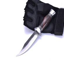 Прямая поставка 440C стальной нож с фиксированным лезвием для кемпинга цветной охотничий нож с деревянной ручкой ножи для выживания на открытом воздухе с нейлоновым ножом 2024 - купить недорого