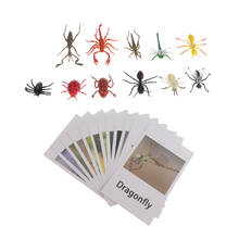 12Pcs Toy Insects Animals Model Naming Cards Kit Montessori for Early Education 2024 - buy cheap