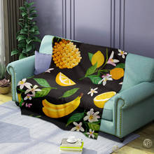 3D Fruit Digital Print Pattern Soft And Comfortable Universal Home Textile Four Seasons Blanket Flannel Print Sleeping Blanket 2024 - buy cheap