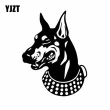 YJZT-Cabeza de Doberman de 12,9x16,9 cm, calcomanía grande para vinilo perro calpara auto Animal negro/plata C24-1432 2024 - compra barato