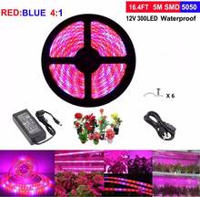 5M LED Grow Light Full Spectrum DC 12V 5050 Aquarium Greenhouse Plant Growing LED Light Set 2024 - buy cheap