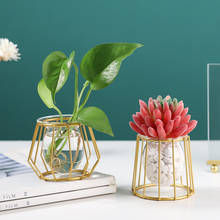 Nordic Golden Glass Vase Hydroponic Plant Vase Iron Art Flower Pot Desktop Home Decor Ornaments Personality Gift Modern jarrones 2024 - buy cheap