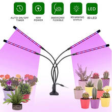 LED Grow Light USB Phyto Lamp Full Spectrum Fitolampy With Control For Plants Seedlings Flower Indoor Fitolamp Grow Box 2024 - buy cheap