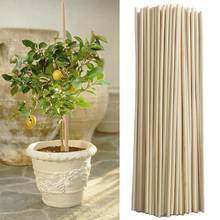 Varas de suporte de bambu para plantas, 50 peças, jardim em vasos de flores, ferramentas de jardinagem, suporte jardin 2024 - compre barato