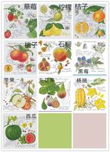 Counted Cross Stitch Kit Cross Stitch DIY Needlework Counted Chinese Cross-stitch Kits For Embroidery a Cross fruits 2024 - buy cheap