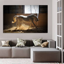 Pintura en lienzo de caballo blanco galopando, carteles para sala de estar, comedor, arte de pared, pintura, imágenes, decoración del hogar sin marco 2024 - compra barato