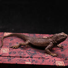 Pure Copper Lizard Statue Solid Animal Sculpture Desktop Ornament Simulation retro crafts car accessories 2024 - buy cheap