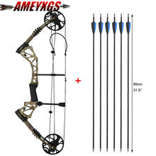 Archery Compound Bow Arrow Set 15-70lbs Aluminum Adjustable Adult Hunting Bow 320fps Right Hand Shooting Hunting Equipment 2024 - buy cheap