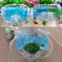 3D Ant Farm Educational Maze Live Feeding System Ants Habitat World Pet Villa 2024 - buy cheap