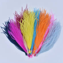 Natural Colorful Ostrich Feathers Silk Fluffy Plume Decoration 15-20cm/6-8inch White Ostrich Feather Trim Feathers for Clothes 2024 - buy cheap