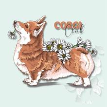 Cute Flower Corgi Dog Pet Patch Iron on Transfer Washable Stickers on Clothes Applique DIY Heat Transfer Vinyl Letter Patches 2024 - buy cheap