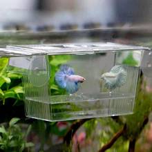 Прозрачная акриловая коробка для разведения рыбок, держатель для инкубатора для аквариума 2024 - купить недорого