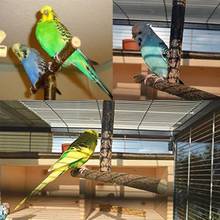 Brinquedo para gaiola de papagaio, brinquedo para treinamento em forma de t, depilação, pássaro, brinquedo com suporte de madeira natural 2024 - compre barato