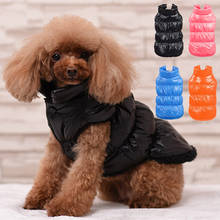 Warm Cotton Puppy Clothes Winter Pet Dog Down Jacket for Small Dogs Chihuahua Maltese Cat Coat Dogs Pets Clothing ropa de perro 2024 - купить недорого