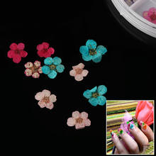 24Pcs 3D Pressed Blossom Flower Nail Art Sticker Wheel Mixed Natural Dried Dry Flower DIY Nail Art Decorations 2024 - buy cheap
