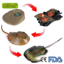 2021 Simulation Wild Animals ABS Centipede Horseshoe Crab Snake Model Figures Collection Cognition Educational Toys for Children 2024 - buy cheap
