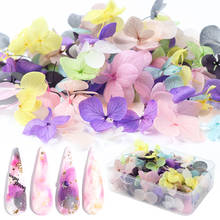 50 шт/100 шт дизайн ногтей сухой цветок Deco дизайн ногтей украшение сухой цветок серия, набор сушеных цветов 2024 - купить недорого