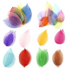 100pcs Natural Skeleton Leaf Vein Dried Nail Art Flowers Bookmarks Accessories for Party Home Decor DIY Handmade Materials 2024 - buy cheap