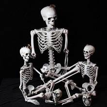Enfeite de esqueleto humanos de 90cm, durável, festa de halloween, bar de casa assombrada, adereços de decoração de casa 2024 - compre barato