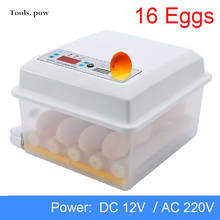 Incubadora de 16 huevos de doble potencia, automática e inteligente, para pollo, pato, Ganso, Paloma, pájaro, codorniz, hogar, 110V/220V 2024 - compra barato