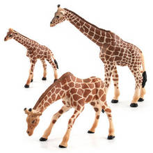 Новое моделирование прерий игрушечные дикие животные Пластиковые жираф фигурки обучающие игрушки для детей Детская игрушка в виде фигурки модели подарок 2024 - купить недорого